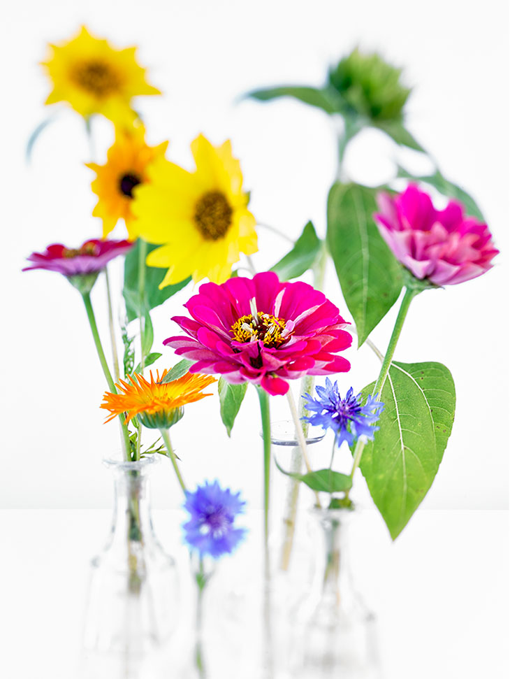 bloom